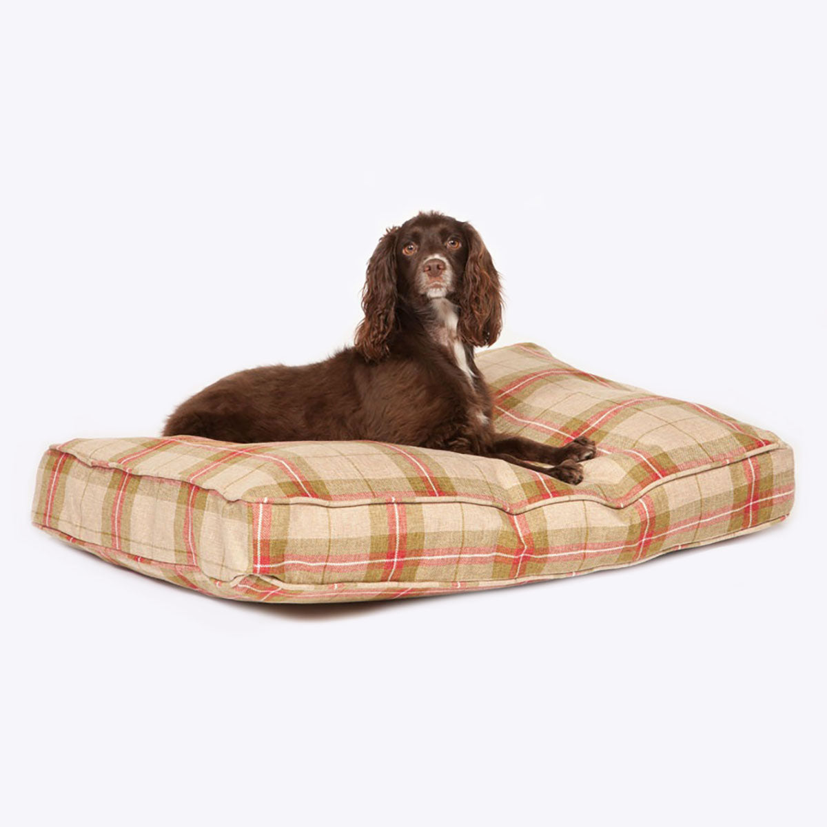 Newton Moss Box Duvet  UK Made Dog Bed