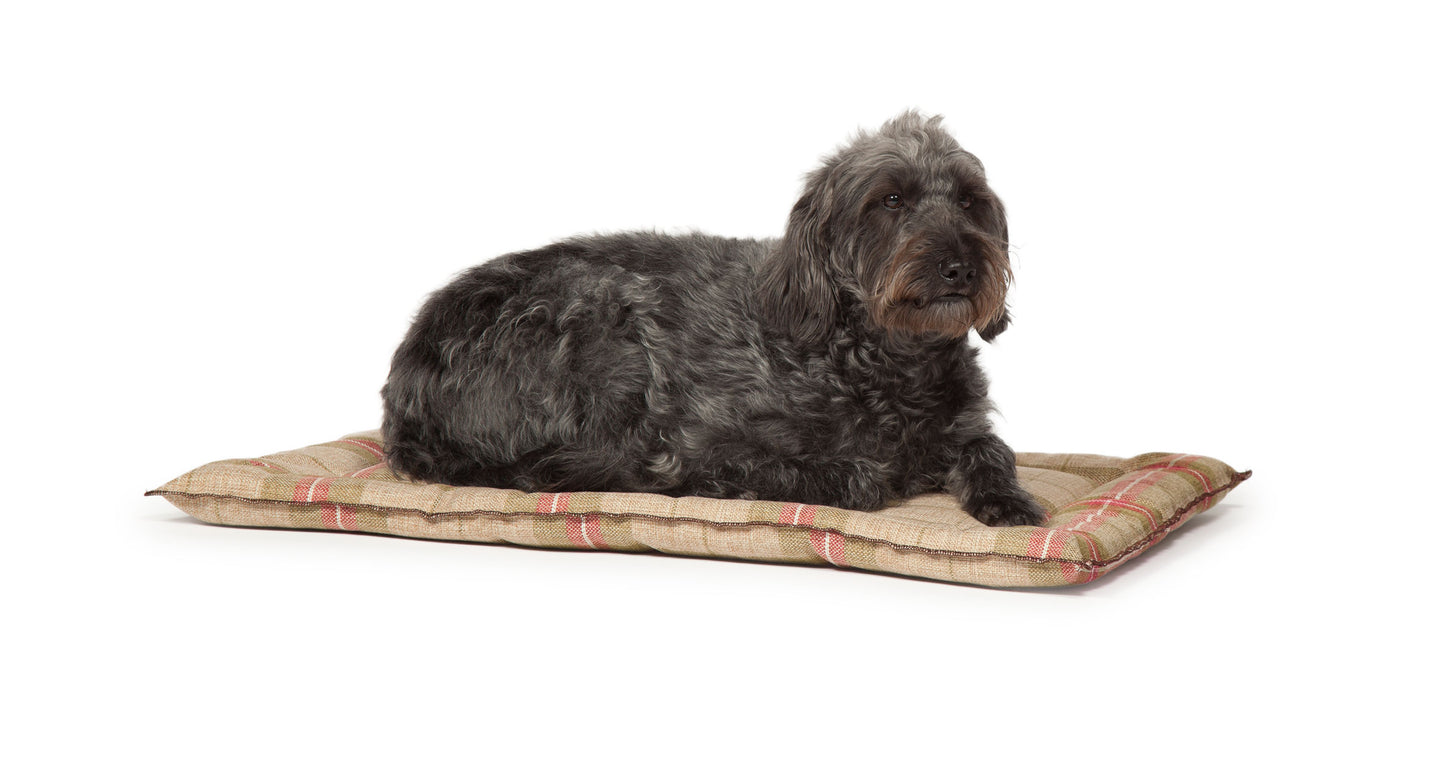 Newton Moss Crate Mattress | Machine Washable Dog Bed