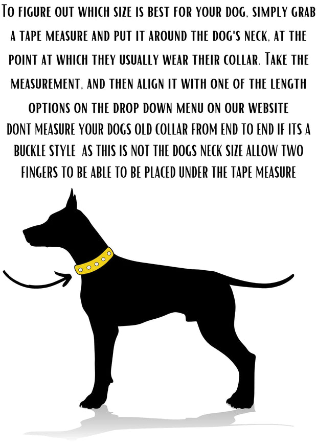 How to measure your dog for a collar