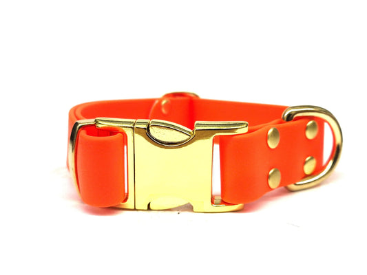 Neon Orange Waterproof Metal Clasp Dog Collar