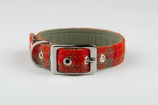 Harris tweed Dog Collar Orange & Olive