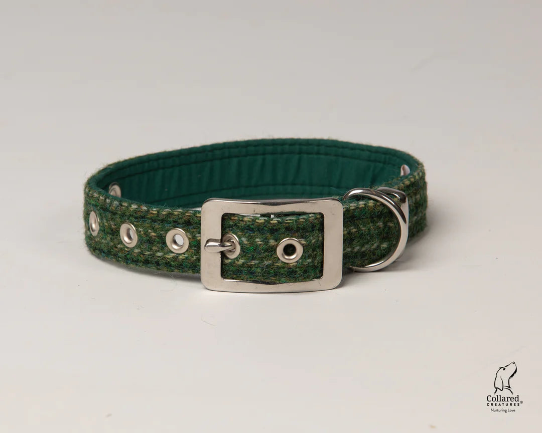 Harris Tweed Dashes of Green Buckle collar