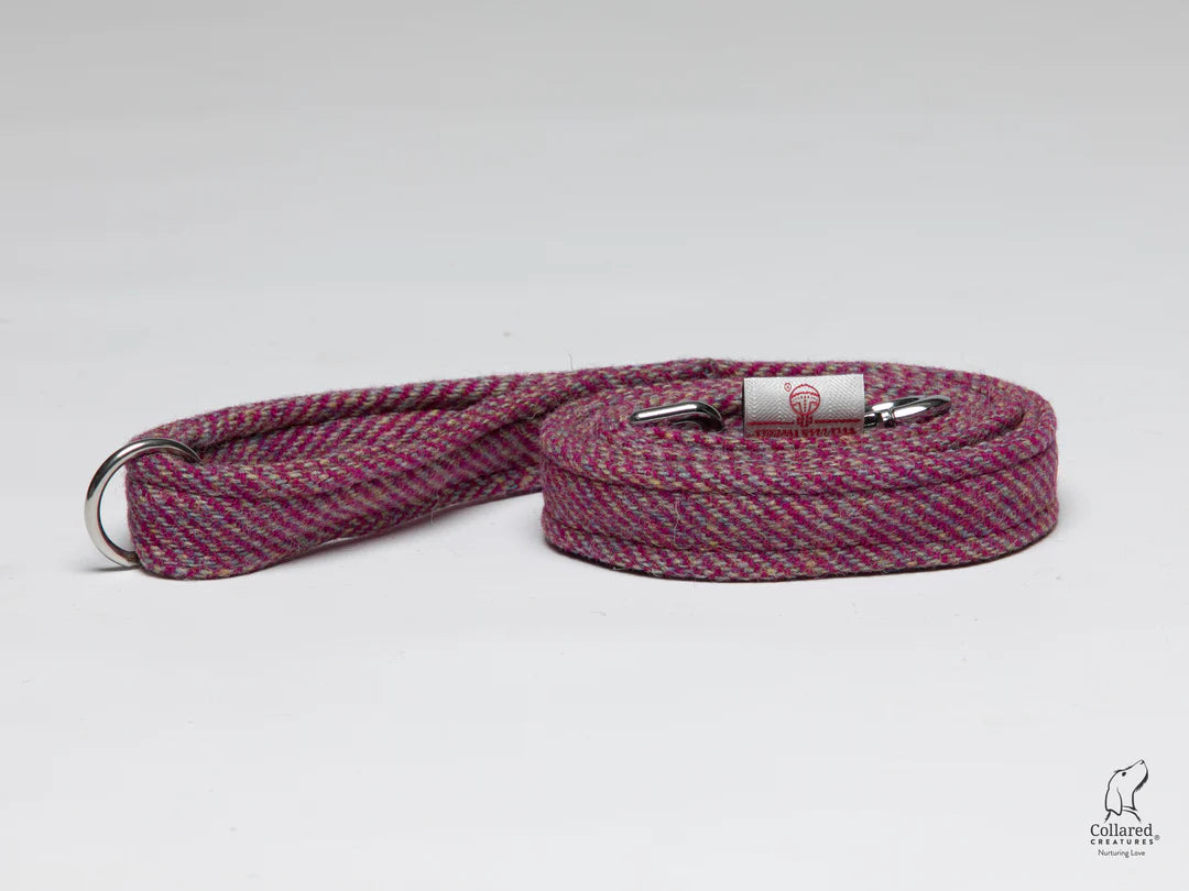 Raspberry Ripple Dog lead