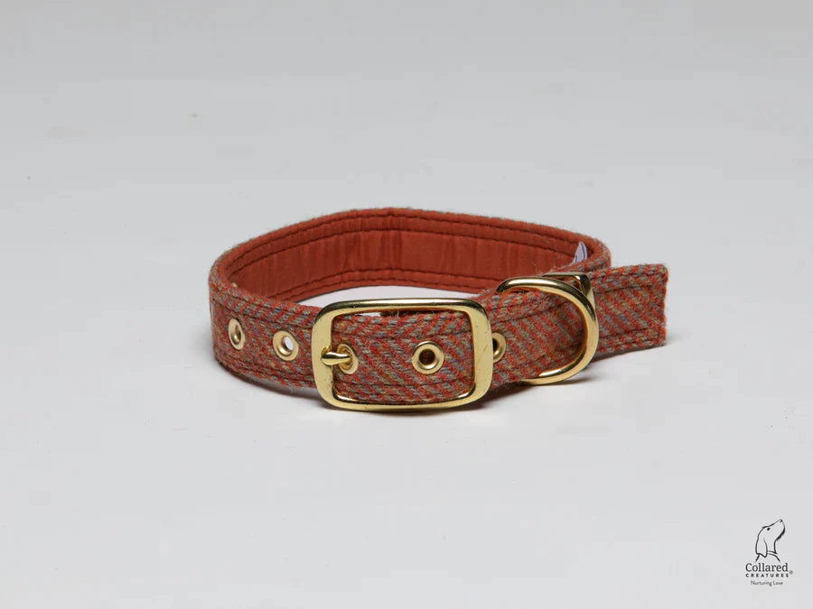 Harris Tweed Mandarin herringbone Buckle dog collar