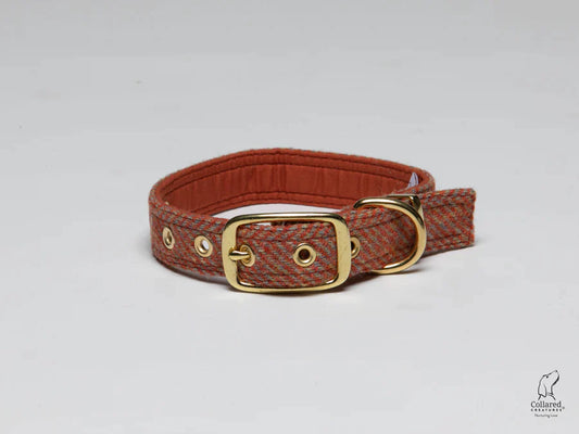 Harris Tweed Mandarin herringbone Buckle dog collar