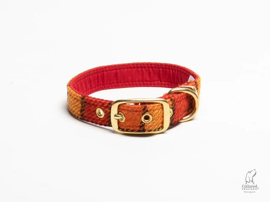 Harris Tweed Sunset Check Buckle Dog Collar