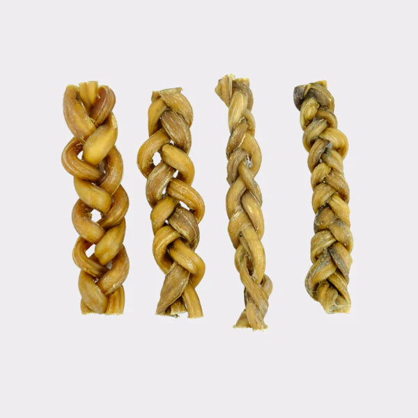 Braided Pizzle dog treats