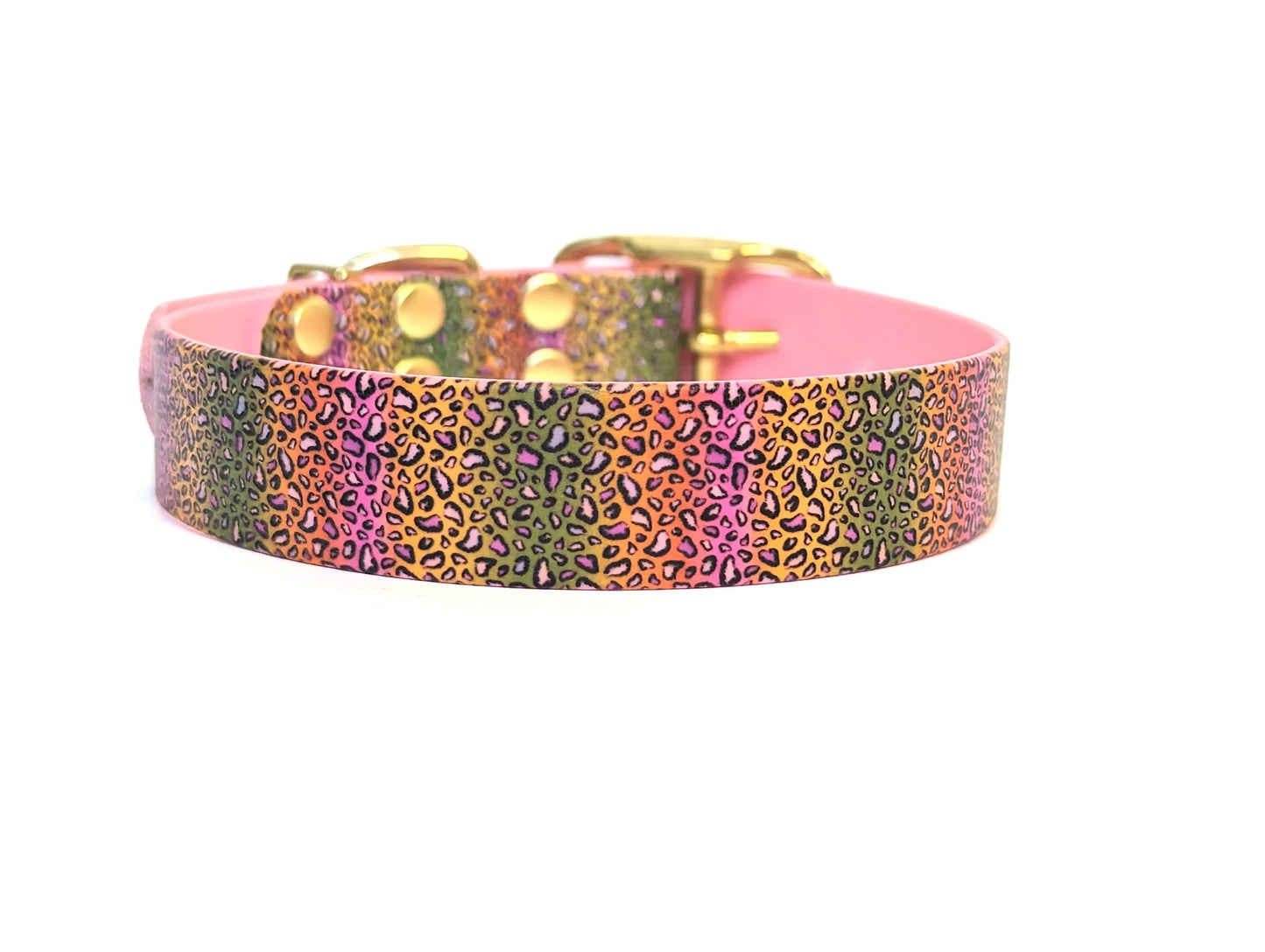 Waterproof leopard print dog collar