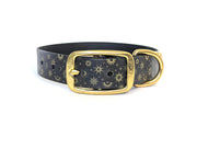 Gold Stars Dog Collar
