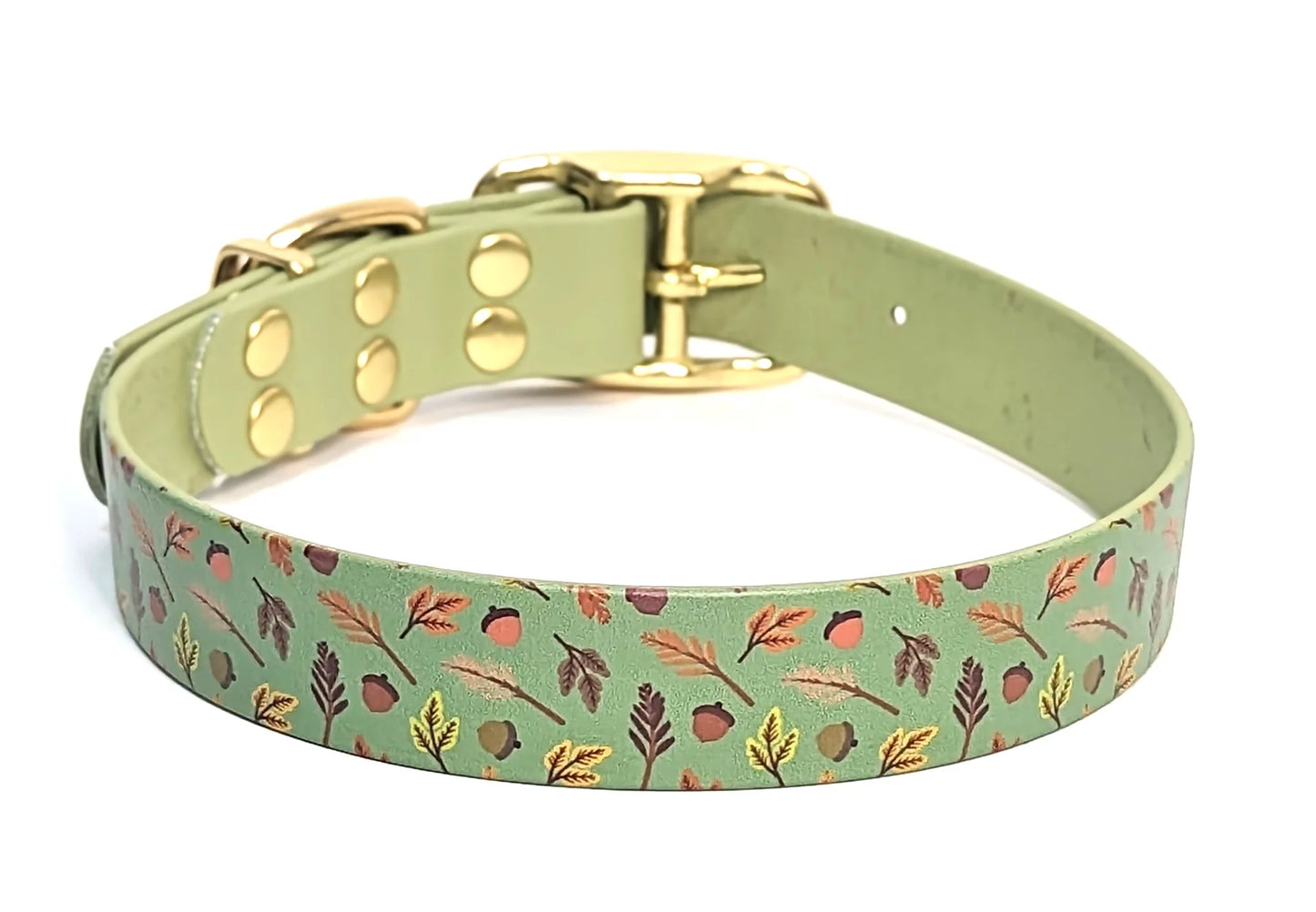 Acorn dog collar