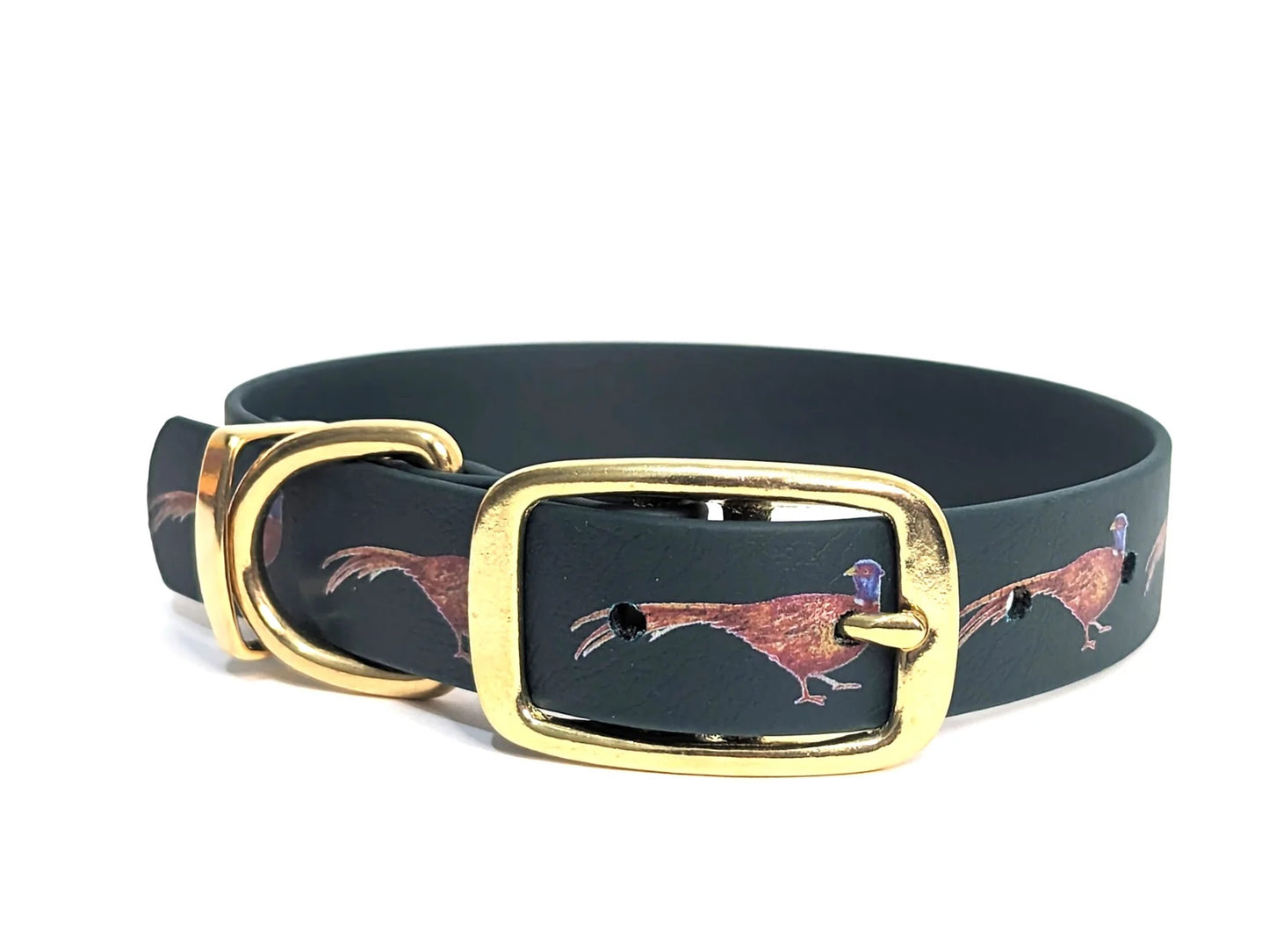 Posing Pheasant dog collar on dark green