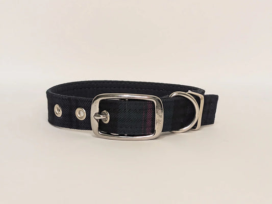 Harris Tweed Baird Modern Buckle Collar