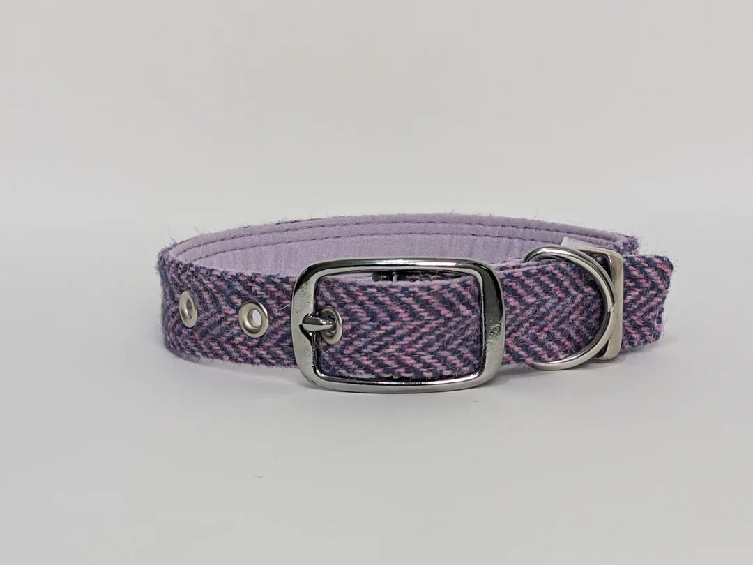 Harris Tweed Lilac and Blue Herringbone  buckle collar