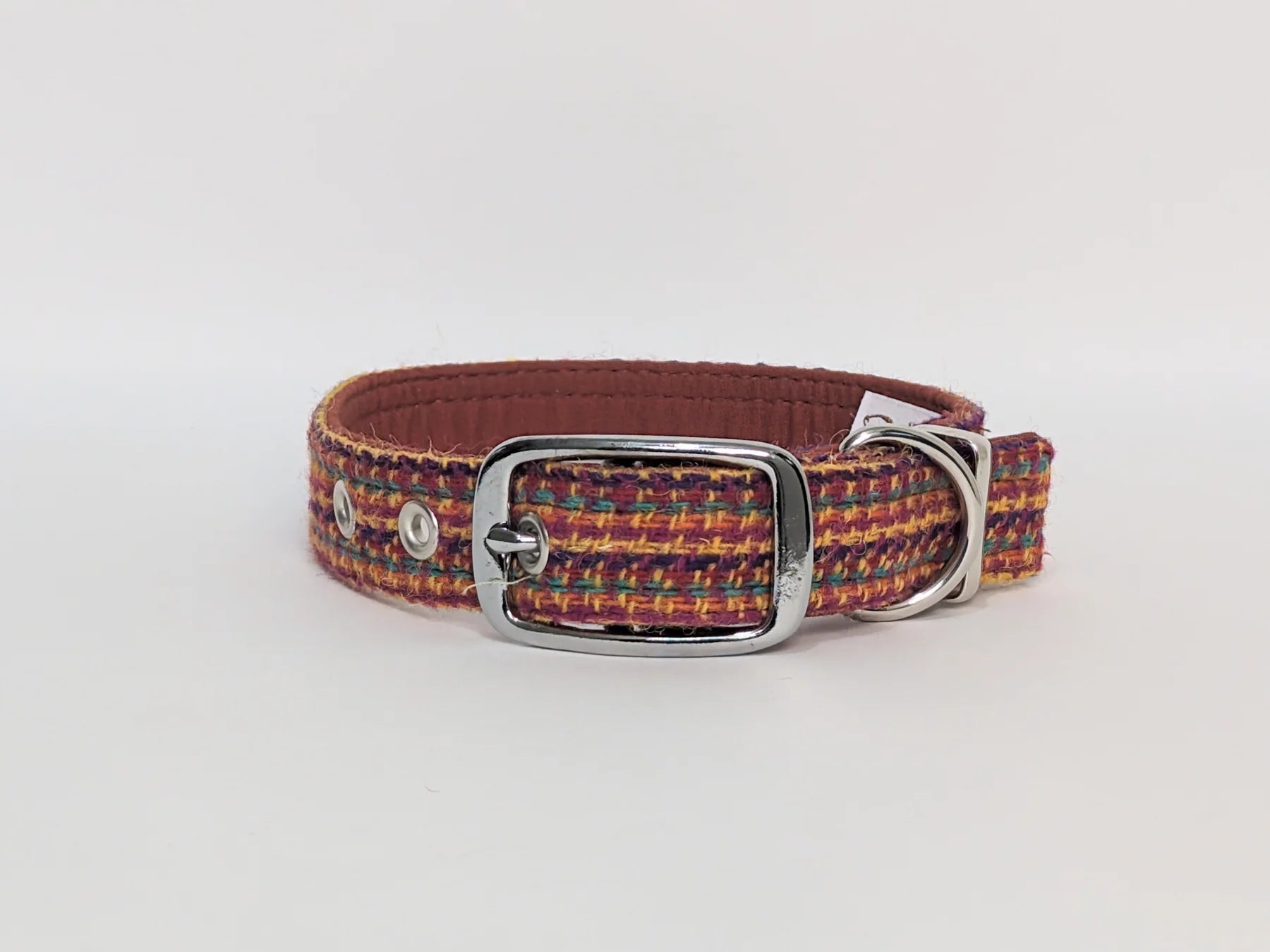 harris Tweed Bright and Bold buckle dog collar