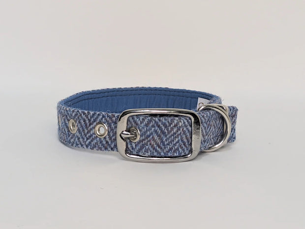 Harris Tweed Blue herringbone buckle dog collar