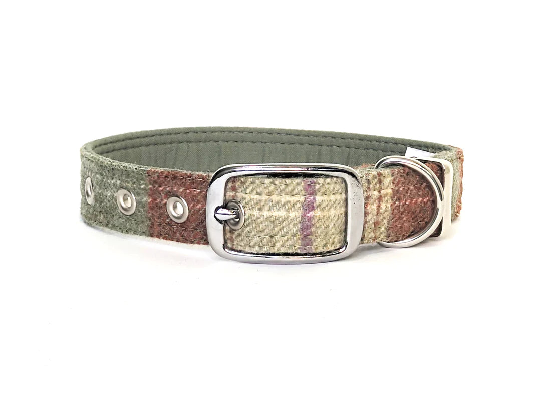 Abraham Moon Sky Agate Check Buckle Dog Collar