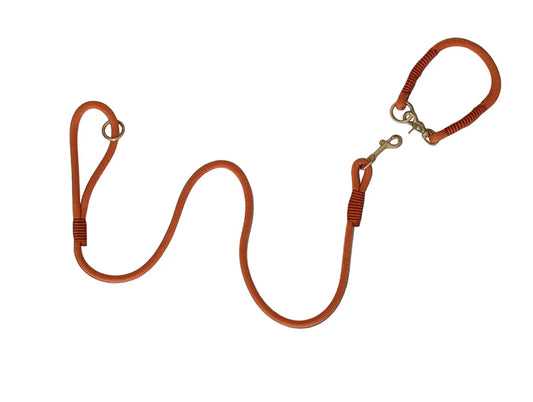Fox orange rope dog collar