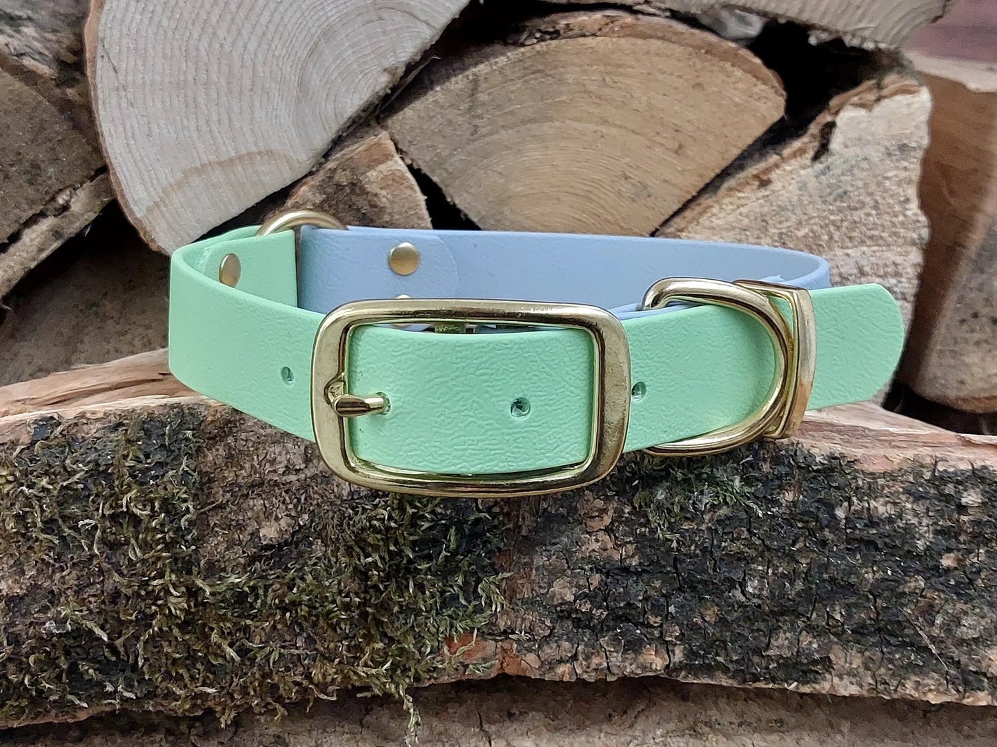 Waterproof Dog Fashion Collar Pale blue Green