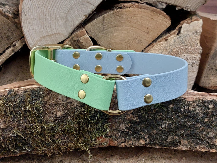 waterproof Dog Collar UK made Multi Coloured Green & Blue