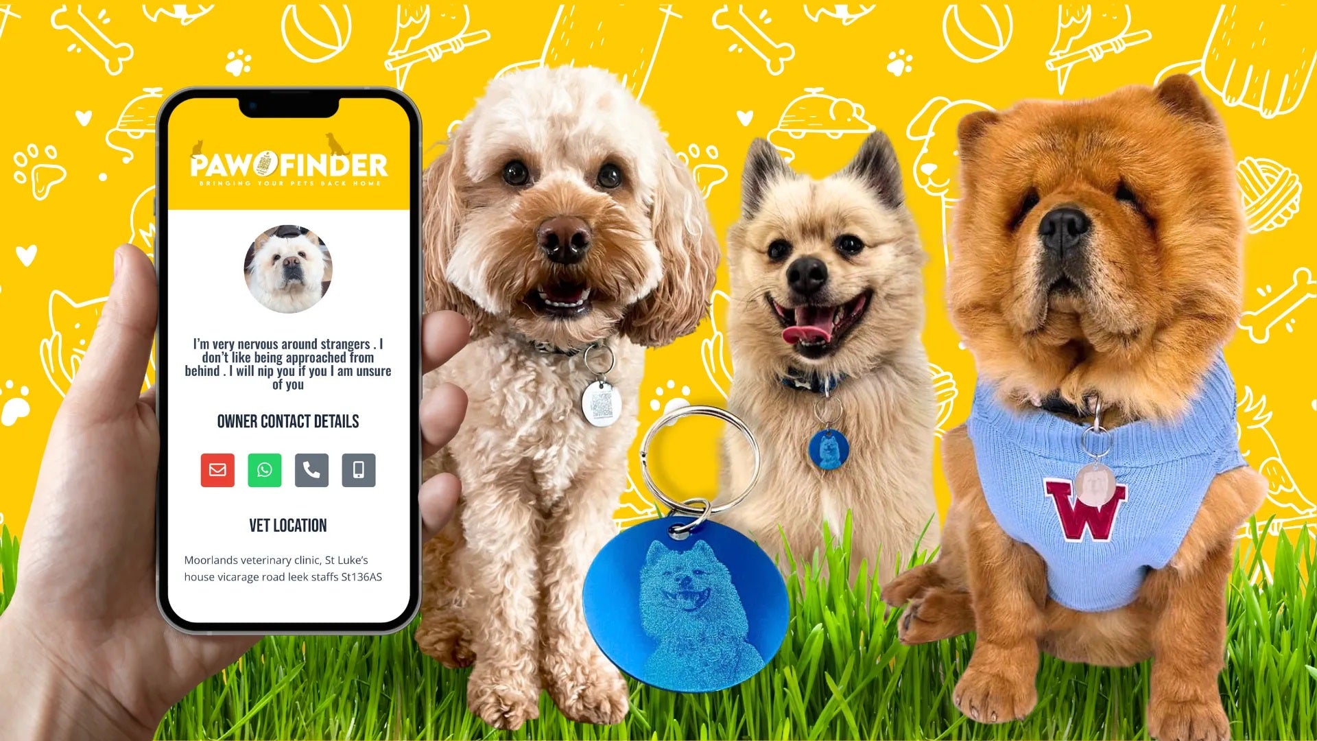 Pawfinder dog tags pet profile