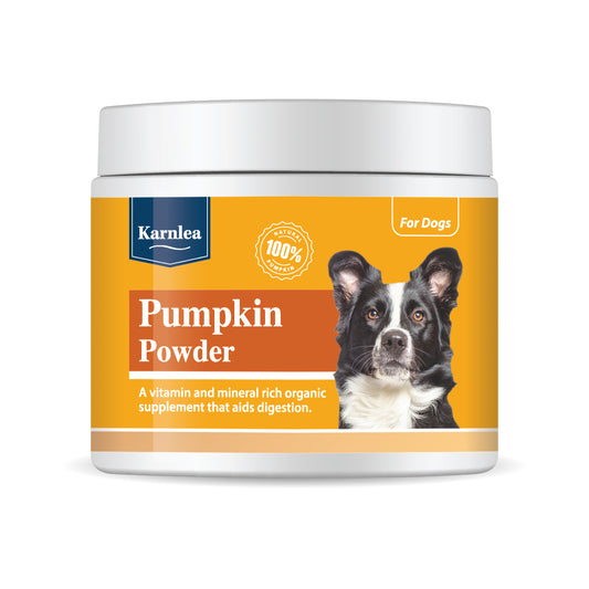 Karnlea Pumpkin Powder for Dogs 200g | Natural Fibre Supplement
