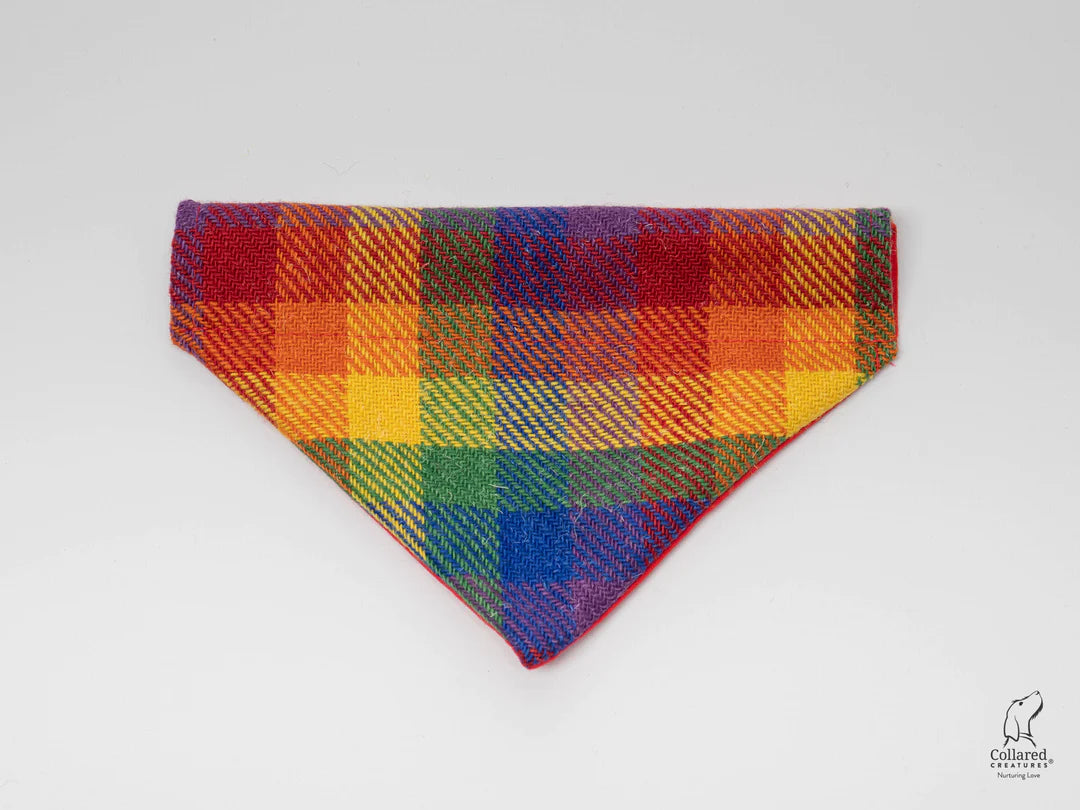 Harris tweed Dog Bandana Rainbow Check