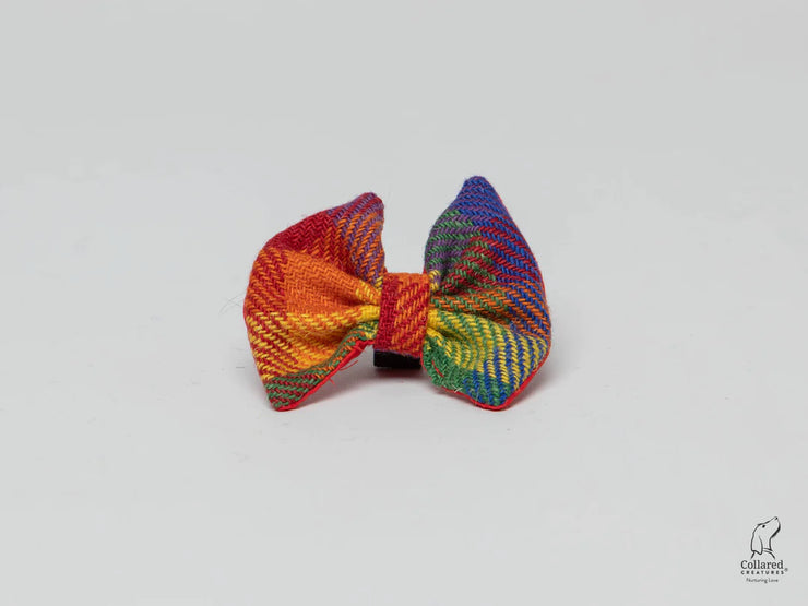 Harris Tweed dog bow tie rainbow check