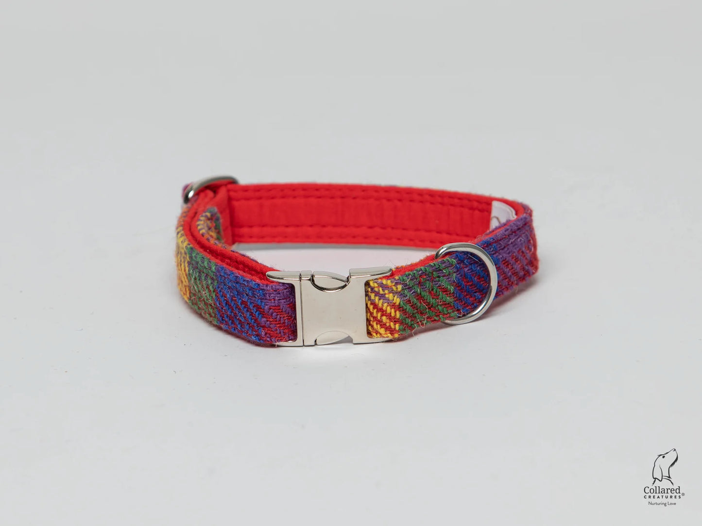 Harris Tweed dog Collar rainbow check