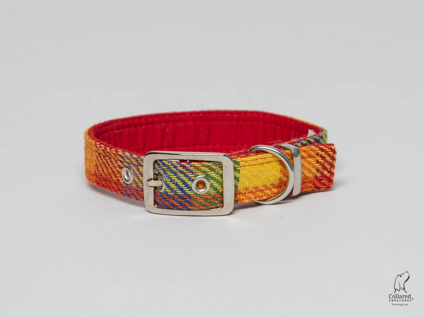 Harris Tweed silver buckle dog Collar rainbow check