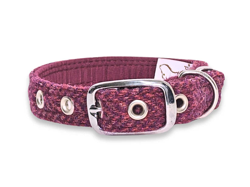 Harris Tweed Raspberry Coral Herringbone Buckle Dog Collar