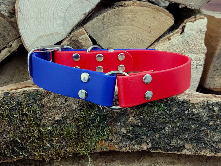 waterproof Dog Collar UK made Multi Coloured  Red & b