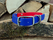 waterproof Dog Collar UK made Multi Coloured  Red & Electric Blue