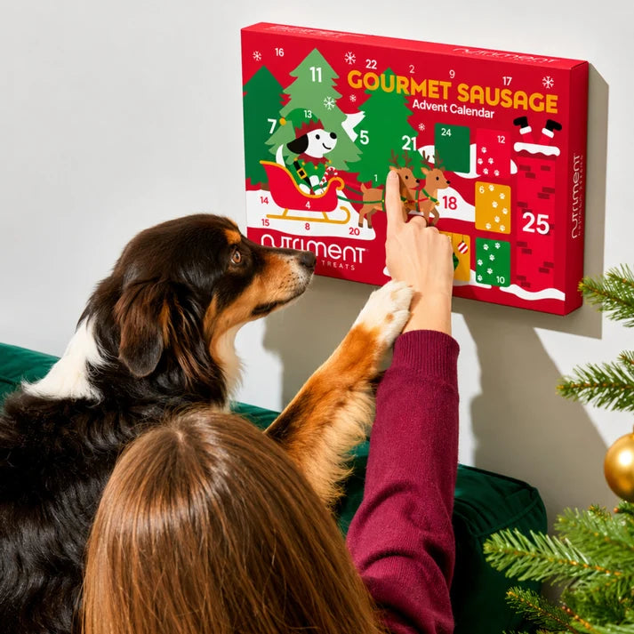 2026 Dog Advent Calendar | Grain-Free Gourmet Christmas Treats _ Nutriment Raw