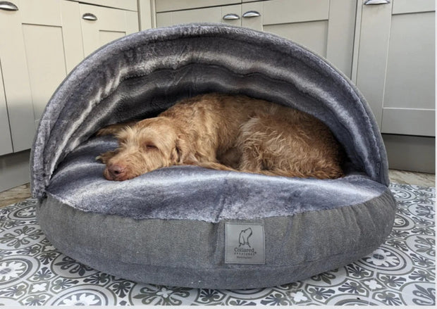 PRE ORDER Dog Cave Bed Removable Hood