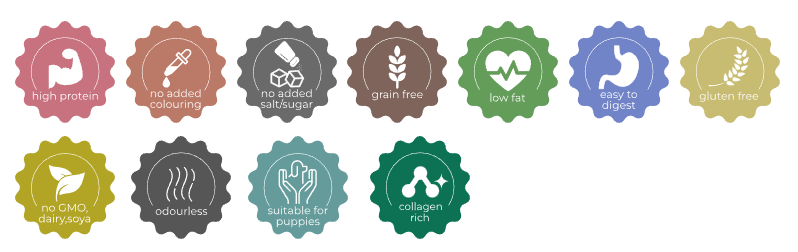 Set of health and wellness icons on a white background