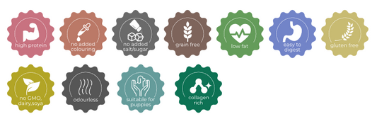Set of health and wellness icons on a white background