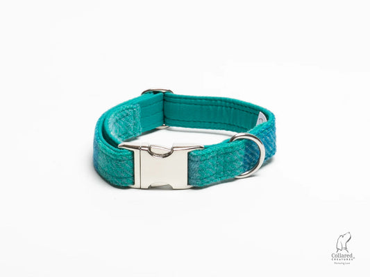 Harris Tweed dog Collar sea breeze check