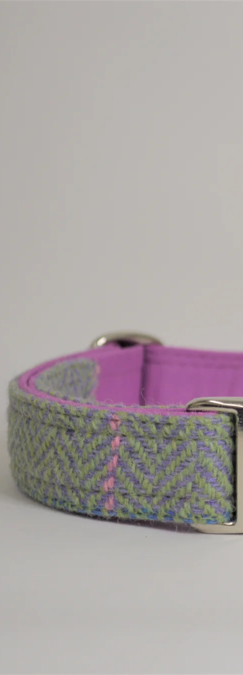 Harris Tweed Dog Lead Spring Breeze