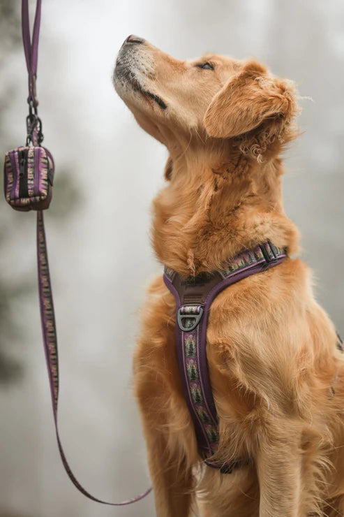 aDoraBle Pooch Streamline pro moonlit pines dog harness example