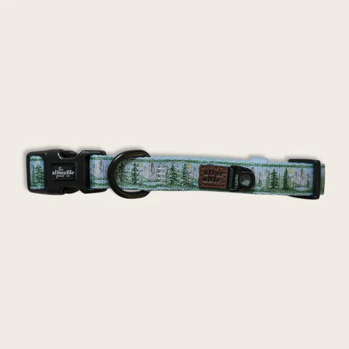 aDoraBle Pooch daydream heights dog collar