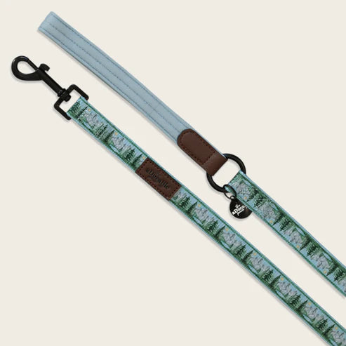 aDoraBle Pooch daydream heights dog lead