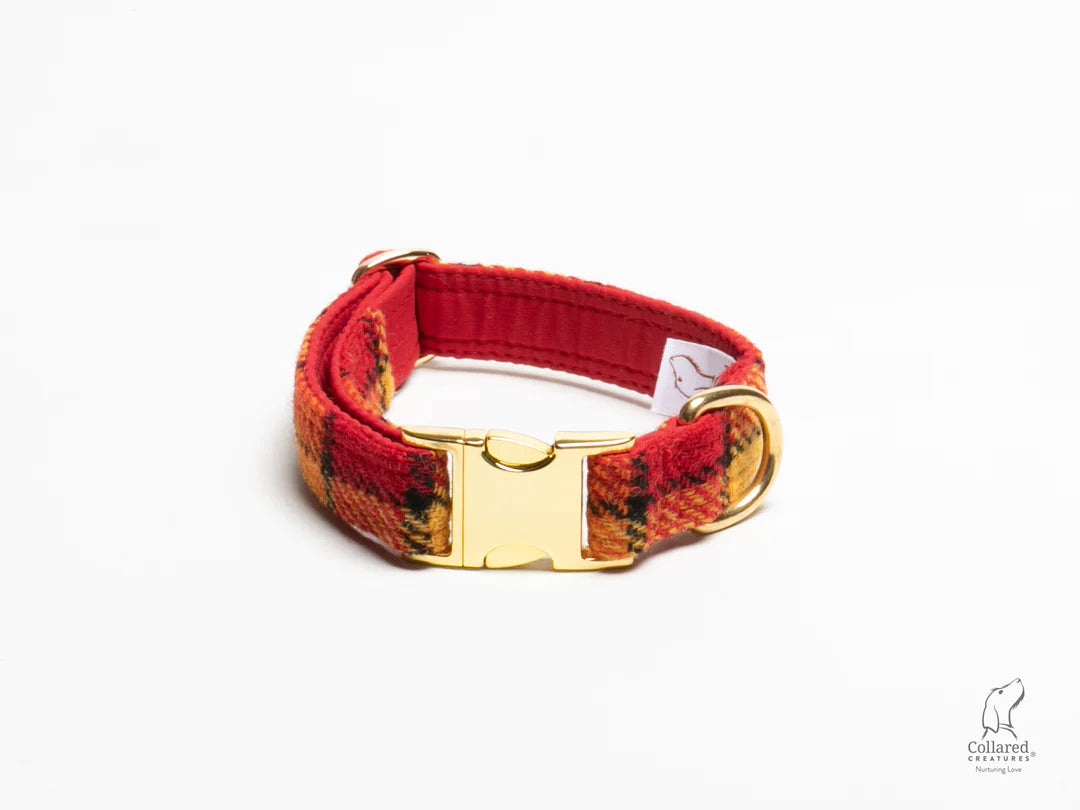 Harris Tweed dog Collar Sunset check