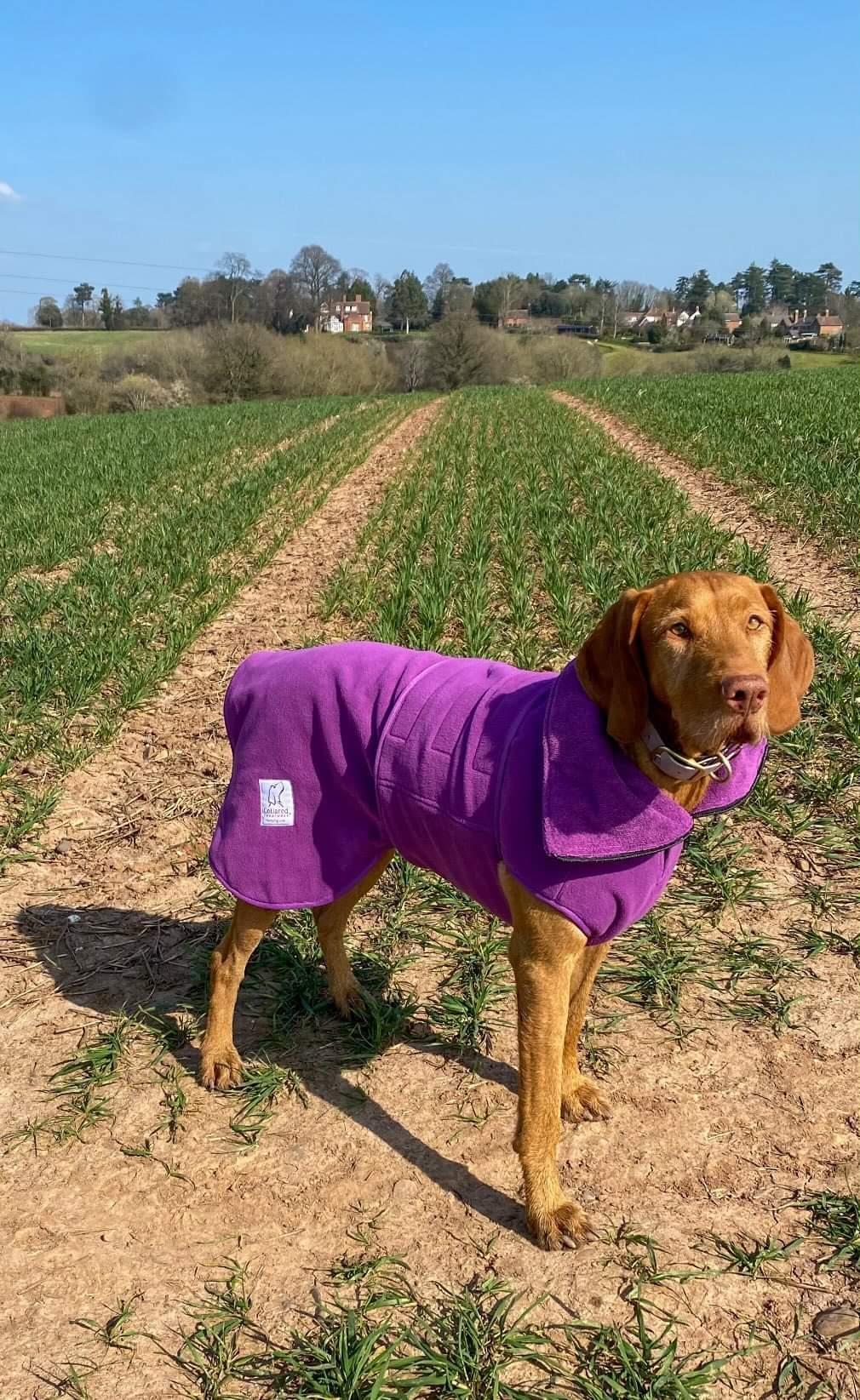 Collared Creatures Superior Dog drying coat Magenta