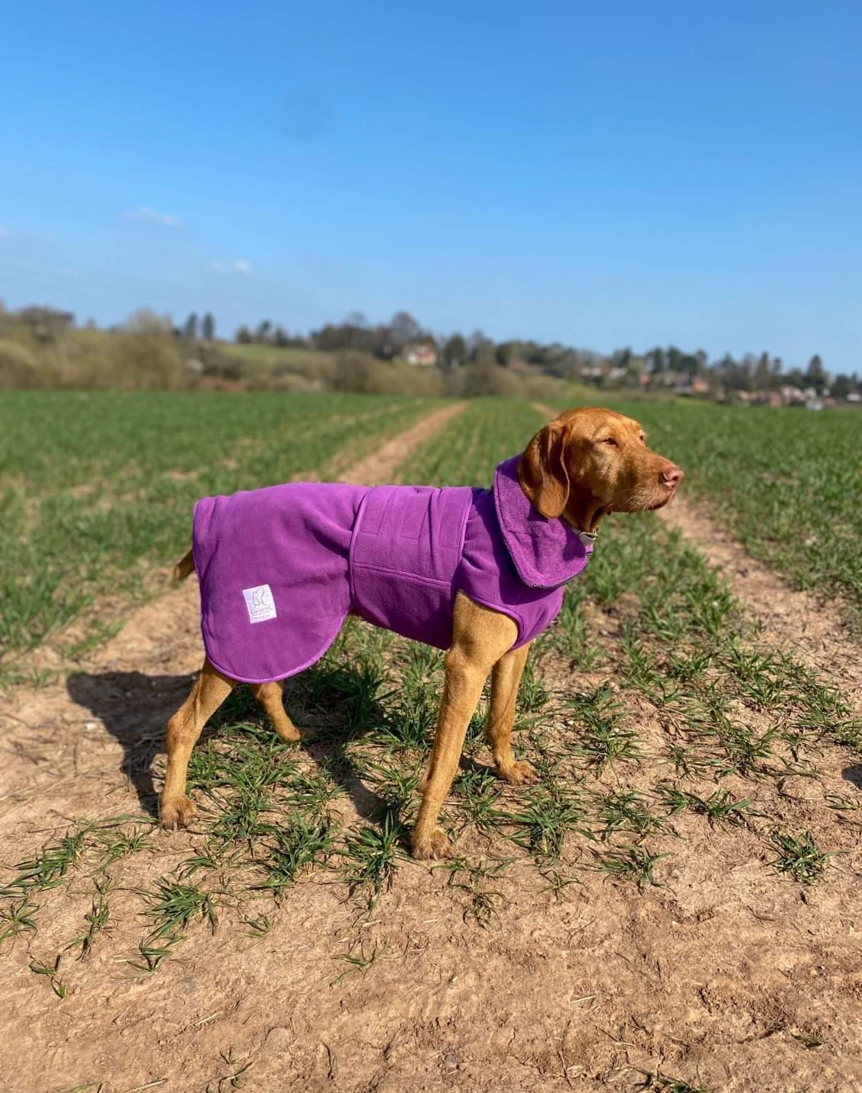 Collared Creatures Superior Dog drying coat Purple