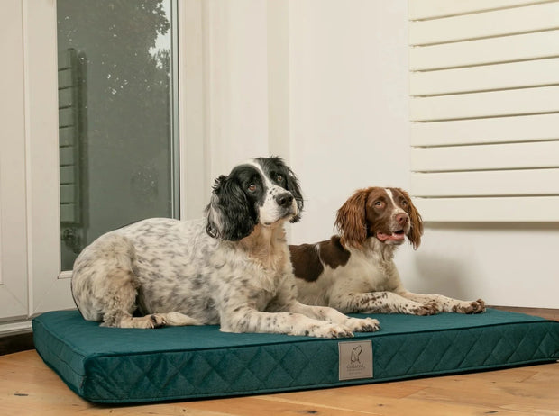 Collared Creatures Ultimate Luxury Dog Mattress Teal