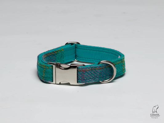 Harris Tweed dog Collar Teal & Lilac Check