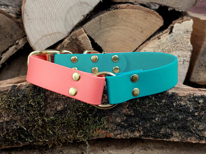 waterproof Dog Collar UK made Multi Coloured 