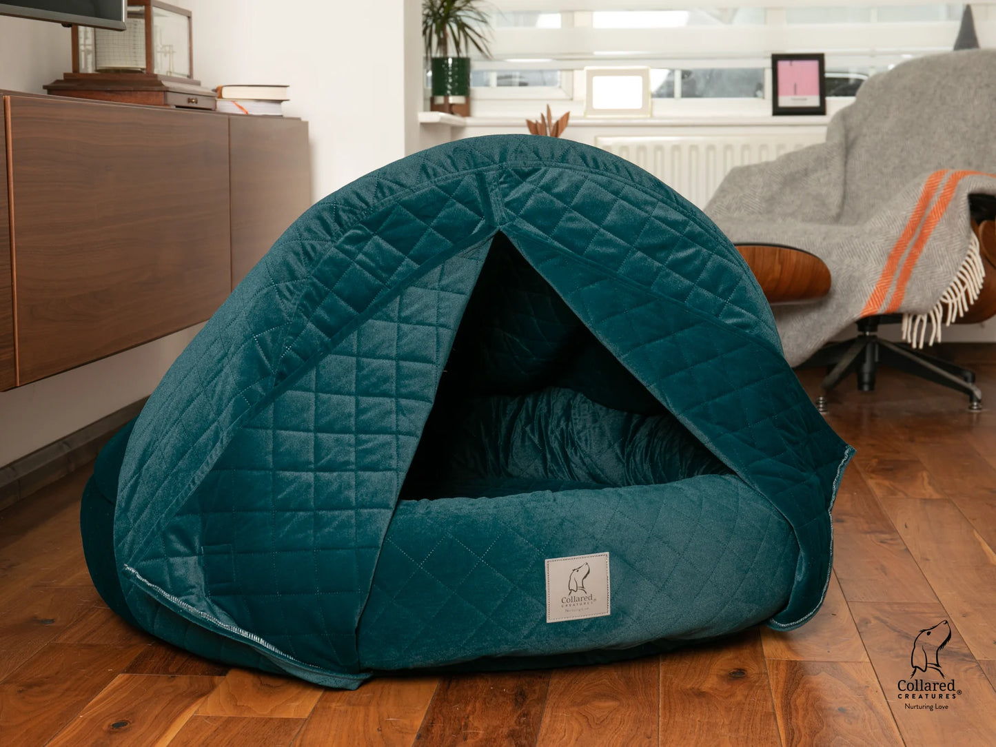 Teal cat cave