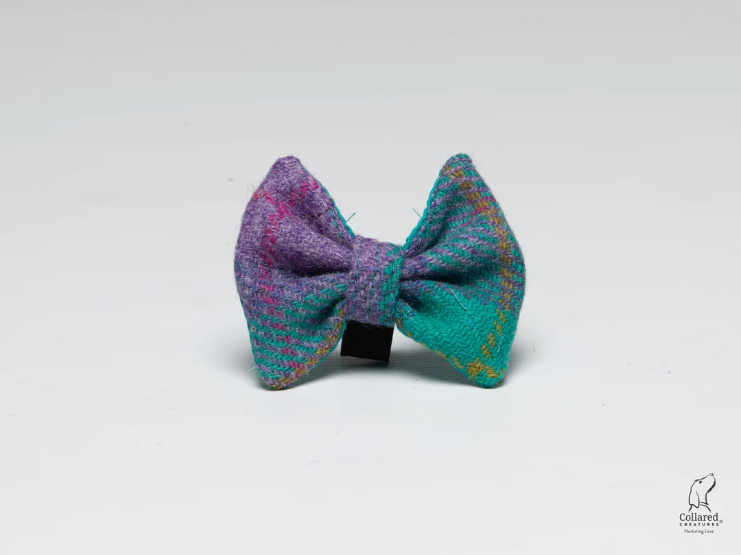 Harris Tweed dog Collar bow tie Teal & Lilac Check