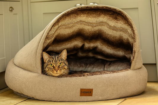 Deluxe Beige Cat Cave personalised